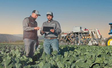 Farmers in field